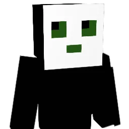 Rienk_ Minecraft avatar bust