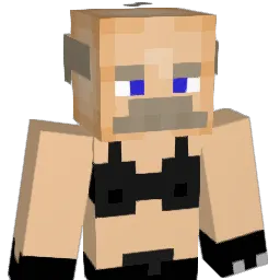 Rieno911 Minecraft avatar bust