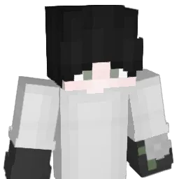 Rigmee Minecraft avatar bust
