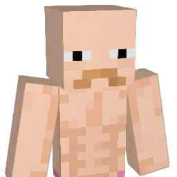 Riiigo22 Minecraft avatar bust