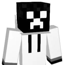 Riise96 Minecraft avatar bust