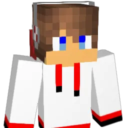 Riles310 Minecraft avatar bust