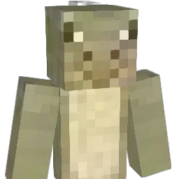 Rin5k Minecraft avatar bust