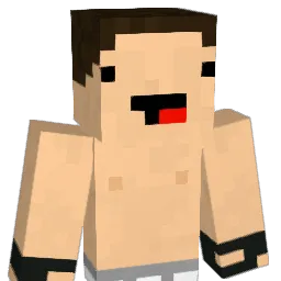 RinderSchwengel Minecraft avatar bust