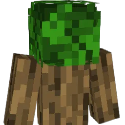 RingWraith722's Minecraft skin