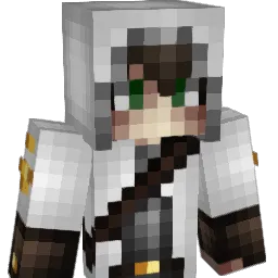Ringoo19 Minecraft avatar bust