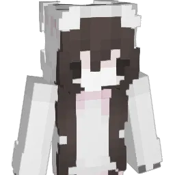 Rininn_ Minecraft avatar bust