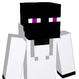 Riot_shy Minecraft avatar bust