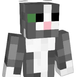 RipDollyParton Minecraft avatar bust
