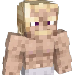 Rise7849 Minecraft avatar bust