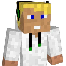 Ritchi1001 Minecraft avatar bust