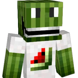 Ritis10 Minecraft avatar bust