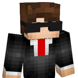 Rizer_Top1 Minecraft avatar bust