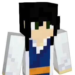 RjY11 Minecraft avatar bust