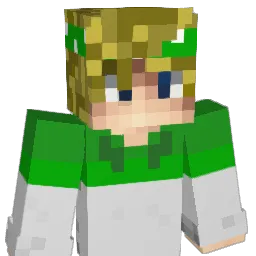 RkB474 Minecraft avatar bust