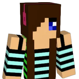 Rkp503 Minecraft avatar bust