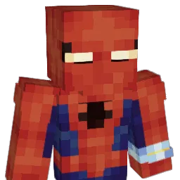 RnBr_ Minecraft avatar bust