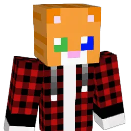 RoCat_21 Minecraft avatar bust