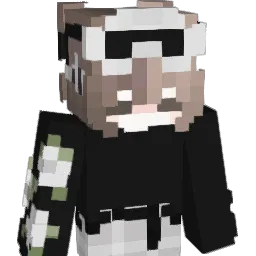 RoNtIc66 Minecraft avatar bust