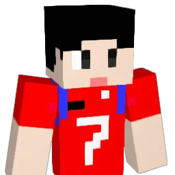 RoNux0814 Minecraft avatar bust