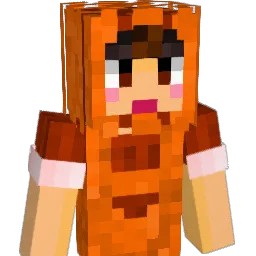 Minecraft-Avatar von Ro_osy: Büste