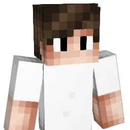 Robbedoes0708 Minecraft avatar bust