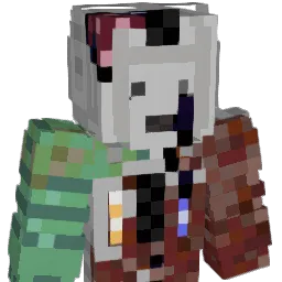 RobboTheMaster's Minecraft skin