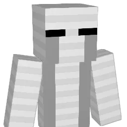 RobertJoseph Minecraft avatar bust