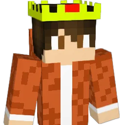 RobiXD24 Minecraft avatar bust