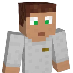 Robibtas's Minecraft skin