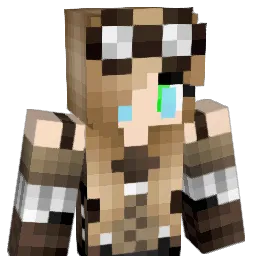 Robin0451 Minecraft avatar bust