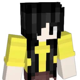 Robin4884 Minecraft avatar bust