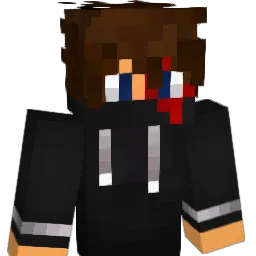 RobinG_00 Minecraft avatar bust