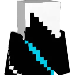 RobinToaster Minecraft avatar bust