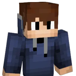 RobinZ_1000 Minecraft avatar bust
