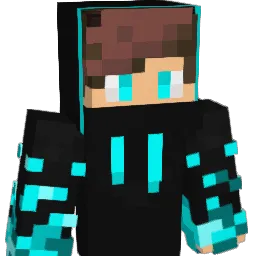 Robin_Elzinga12 Minecraft avatar bust