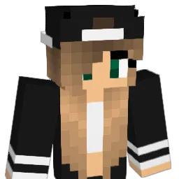 Robinho_NL Minecraft avatar bust