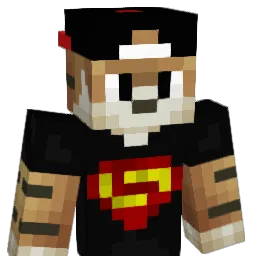 Robinkipp Minecraft avatar bust