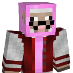 RobinsonMario's Minecraft skin