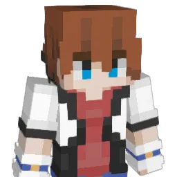 RobotMeiser