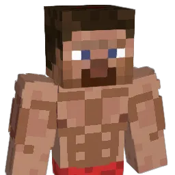 Robotox91 Minecraft avatar bust