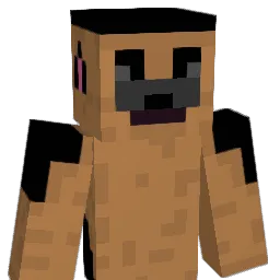 RobsHond Minecraft avatar bust