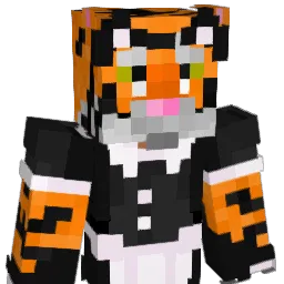 RobsonTigerPl's Minecraft skin