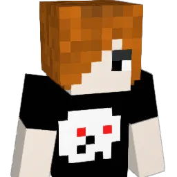 RockMan24 Minecraft avatar bust
