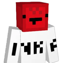 RockyEagle13 Minecraft avatar bust