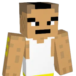 RoiMG