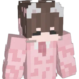 RoibZ's Minecraft skin