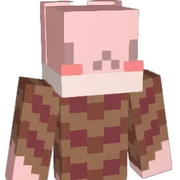 Roidgy Minecraft avatar bust