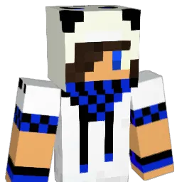 Roiptoor Minecraft avatar bust