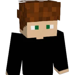 RokaCraft Minecraft avatar bust